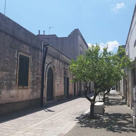 Residencefusaro 아파트 *