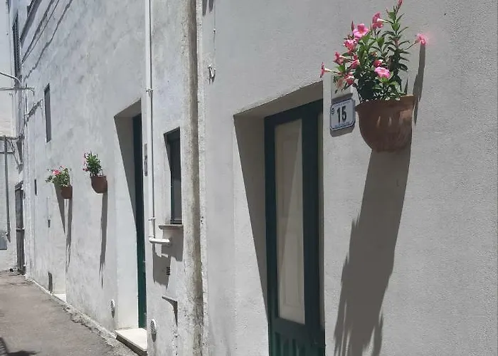 Residencefusaro سبيكيا